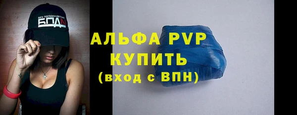 apvp Алзамай